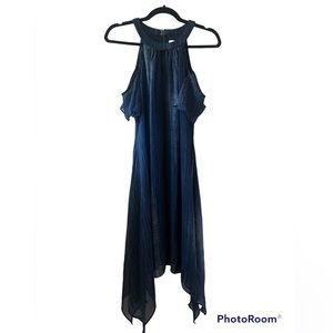 Chico’s Chiffon Dress